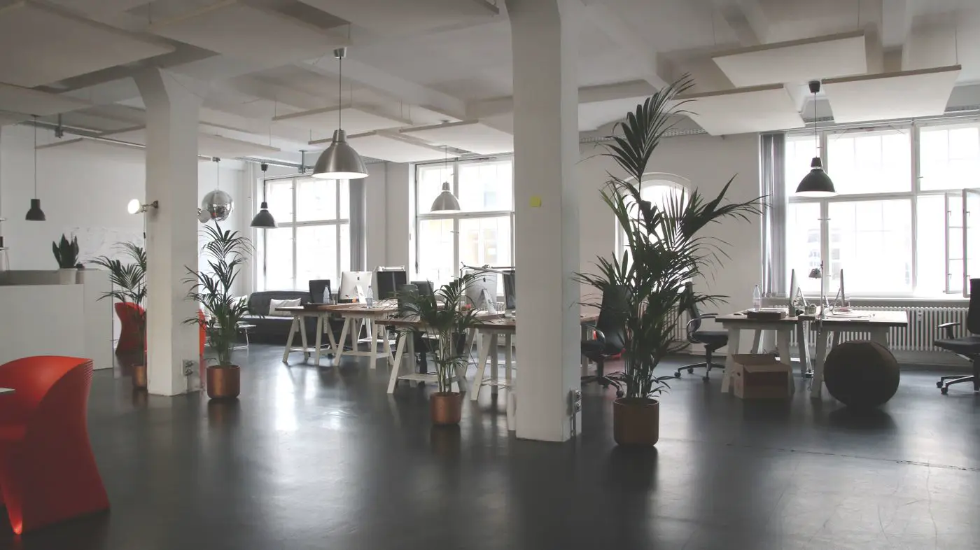 Bright, empty office floor with plants